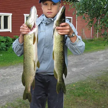 別荘 Lomavouti Savonranta